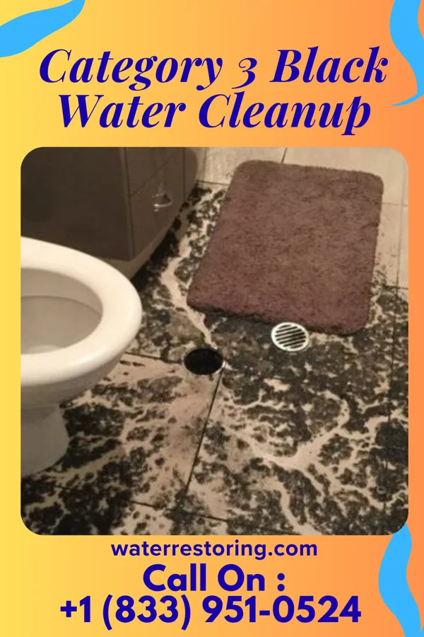 Category 3 Black Water Cleanup in Schellsburg, PA