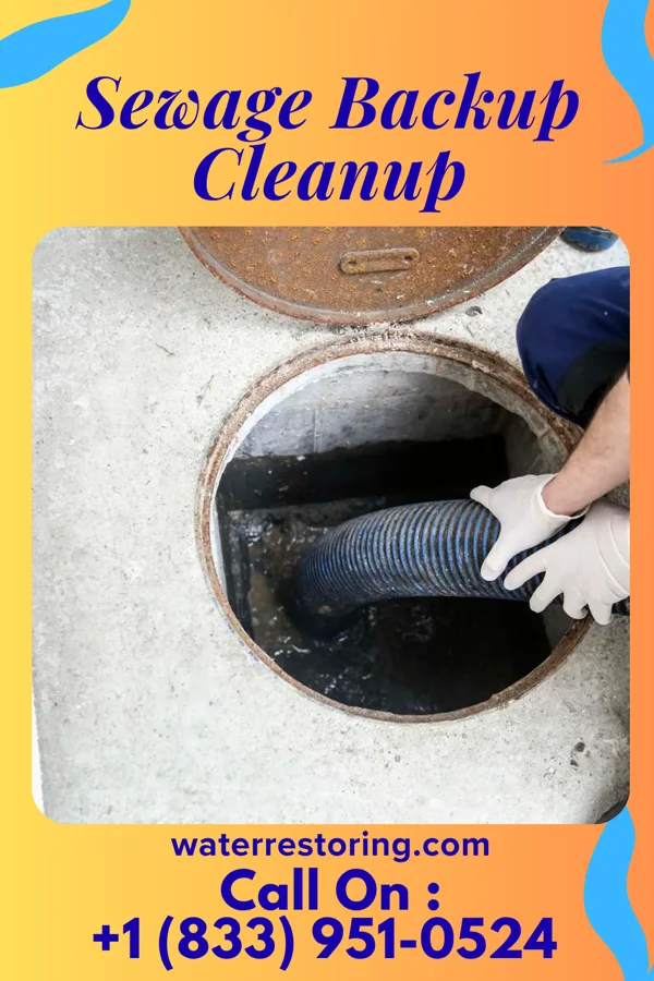 Sewage Backup Cleanup in Schellsburg, PA