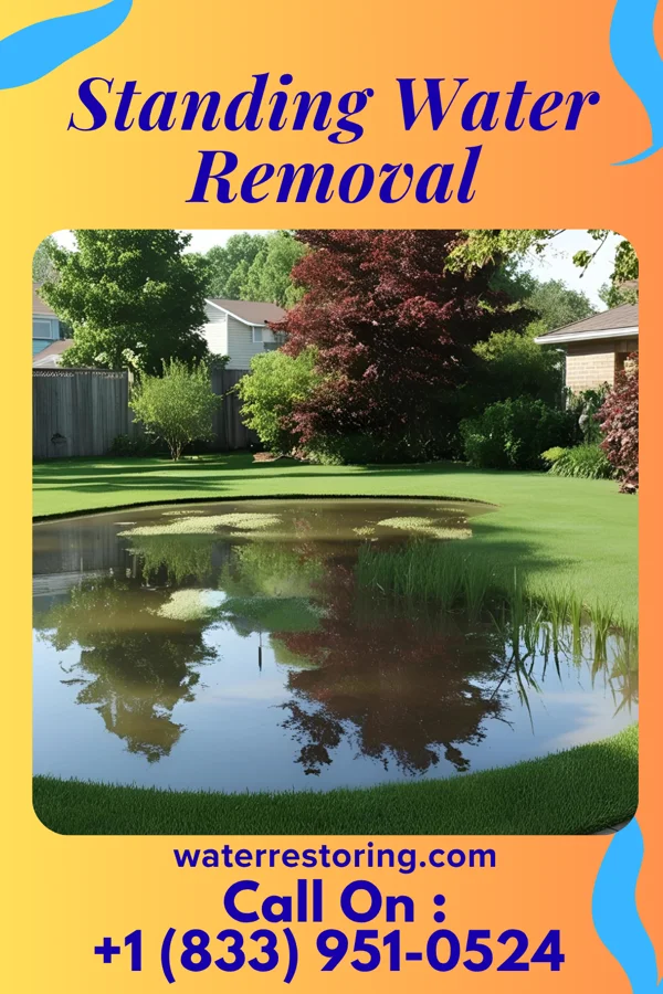 Standing Water Removal in Schellsburg, PA